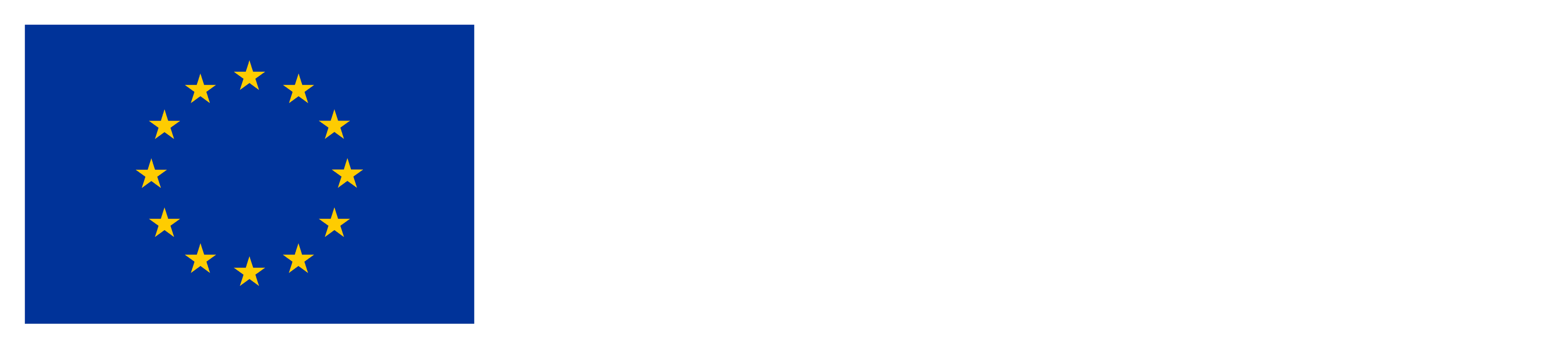 Co-funded by the European Union